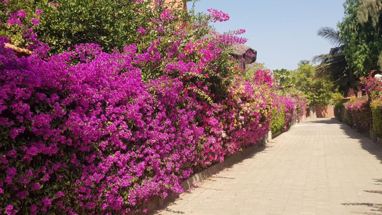 Villa Met Prive Zwembad In Residence Safari Village سالي بوخْتيودال المظهر الخارجي الصورة