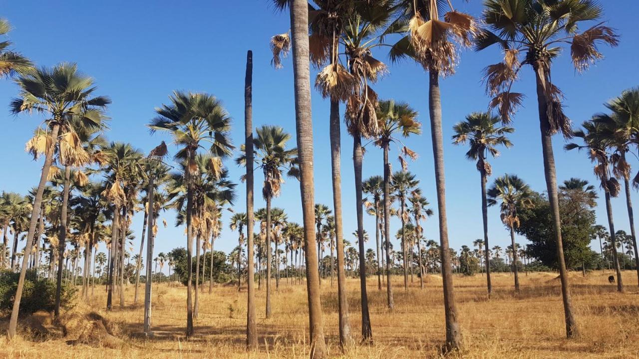 Villa Met Prive Zwembad In Residence Safari Village سالي بوخْتيودال المظهر الخارجي الصورة