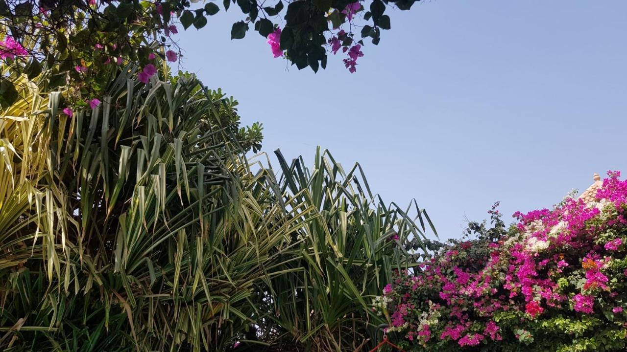 Villa Met Prive Zwembad In Residence Safari Village سالي بوخْتيودال المظهر الخارجي الصورة