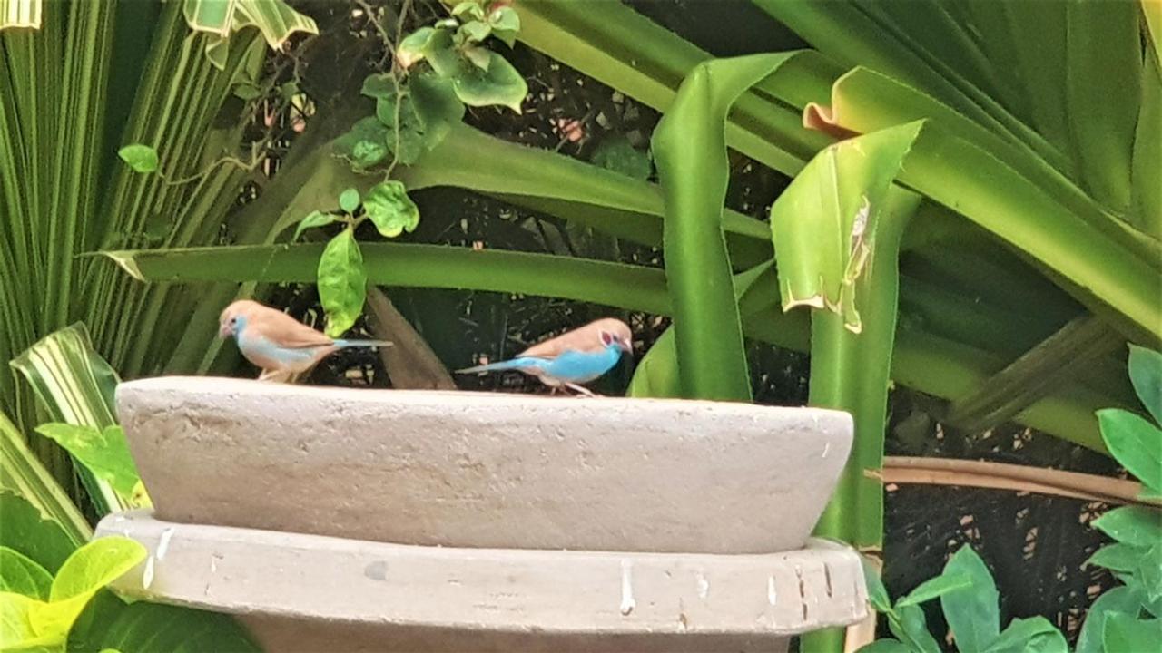 Villa Met Prive Zwembad In Residence Safari Village سالي بوخْتيودال المظهر الخارجي الصورة