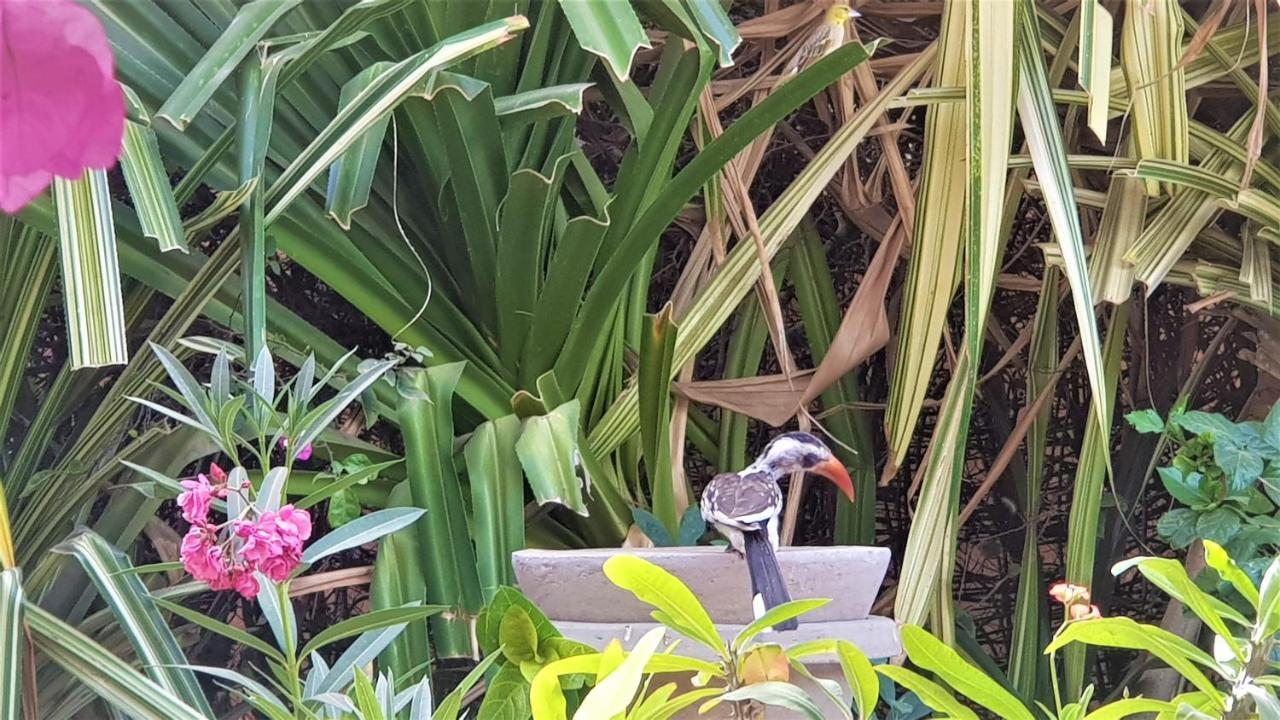 Villa Met Prive Zwembad In Residence Safari Village سالي بوخْتيودال المظهر الخارجي الصورة