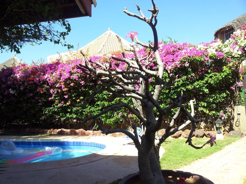 Villa Met Prive Zwembad In Residence Safari Village سالي بوخْتيودال المظهر الخارجي الصورة