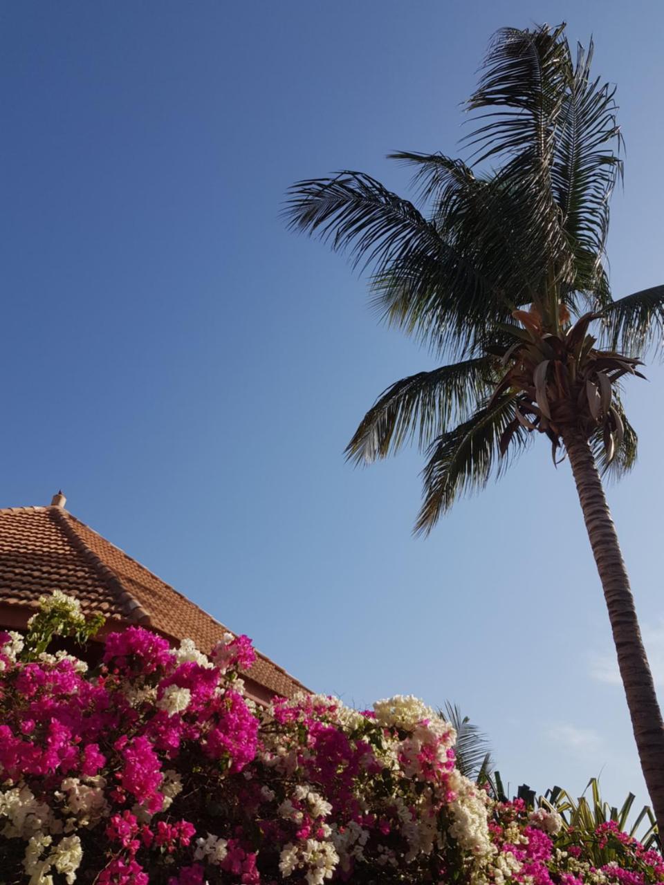 Villa Met Prive Zwembad In Residence Safari Village سالي بوخْتيودال المظهر الخارجي الصورة